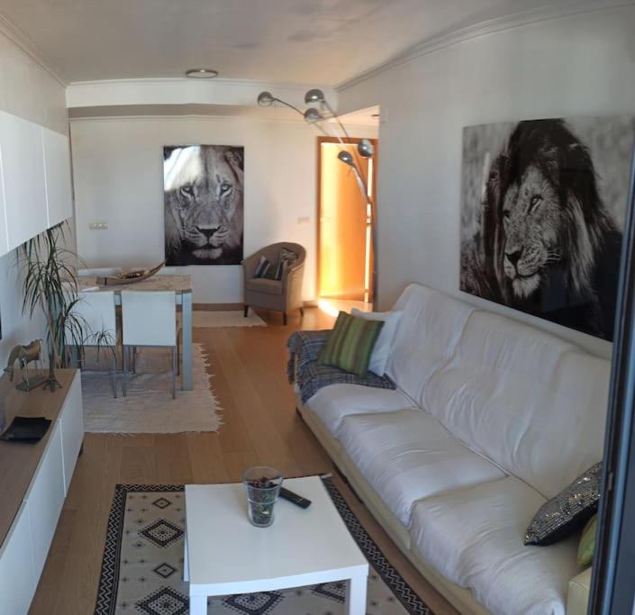 Atico En Paiporta Con 2 Grandes Terrazas Apartamento Valência Exterior foto